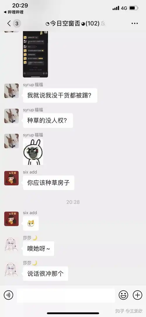 好个白莲花手帐群主,先踢人随后各种黑人附送白莲花群主照片
