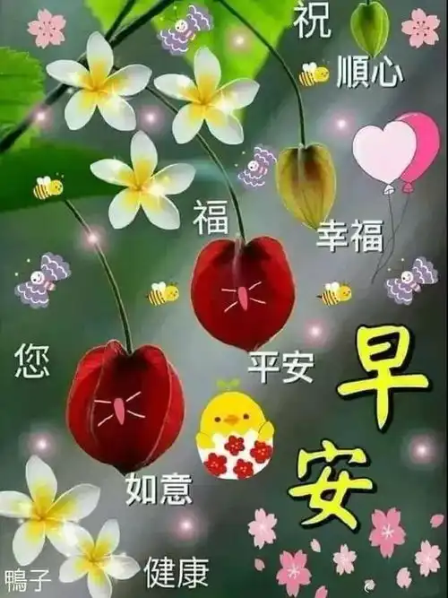 非常漂亮好看的早晨好问候动态图片微信最美早安问候语短信集锦
