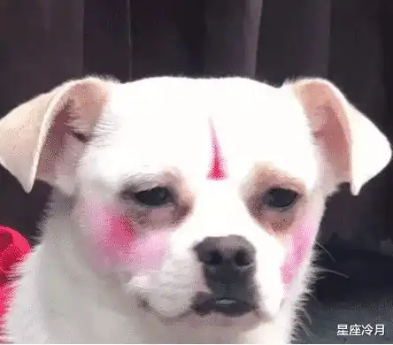 为了化妆差点错过高铁,结果赶到高铁站热脱妆了太倒霉了吧,哈哈哈
