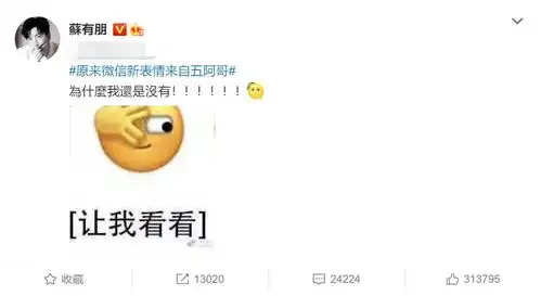 苏有朋回应表情撞脸五阿哥,网友哥不收版权费吗四字回应爆笑
