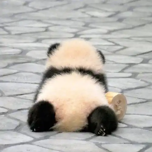 打动人

