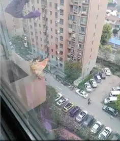 最新幽默笑话大全,搞笑段子大全,搞笑动态图片大全第21087页别逗了笑话网
