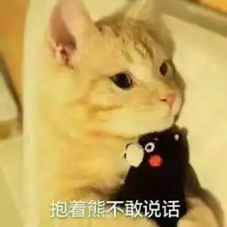 超萌猫咪图片大全可爱带字2018最新争气永远比生气聪明
