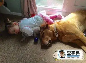 不是一家人,不进一家搞笑图片
