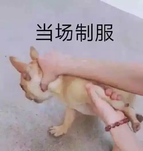 阴阳怪气的表情包
