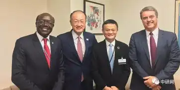 马云到联合国上班担任联合国助理秘书长
