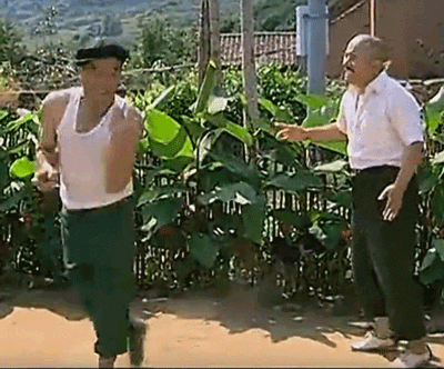 搞笑gif一网友用换脸app给自家的猫和狗玩了一下,哈哈毫无违和感
