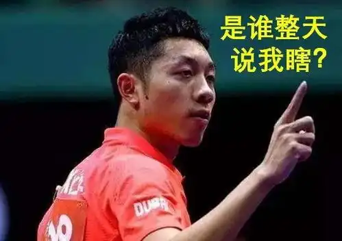 中国男乒还喂过猪狂看7天国乒视频,我挖出了贼多好笑彩蛋
