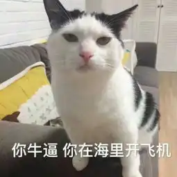 可爱猫咪搞笑带字头像2018最新版或许适合真的比喜欢重要
