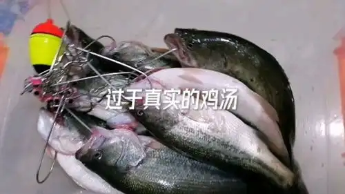 适合发朋友圈说说动态的搞笑句子大全
