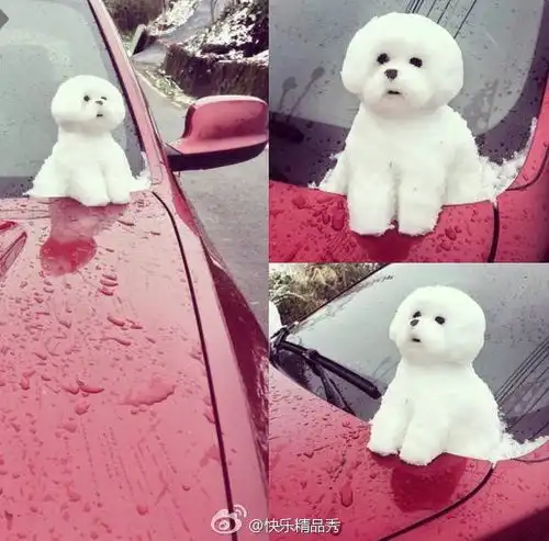 蛋友贴图专版
