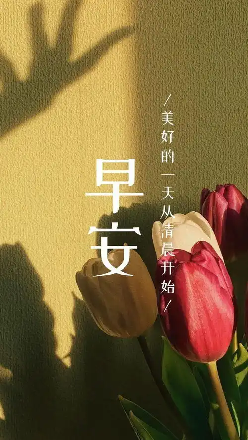 早安晚安语录精选励志图片句子早安晚安心语朋友圈励志语录图片
