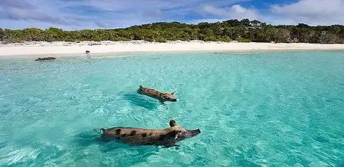 全球最佳海滩榜单出炉,选了10个请年假走起啊
