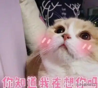 幽默笑话老爸非说我的男朋友脑子有毛病,不同意我们在一起

