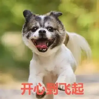 厉害啦广西这个村落获得国字称号,去了才知道有多美
