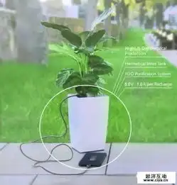 植物可以发电bioolite盆栽光合作用为手机充电
