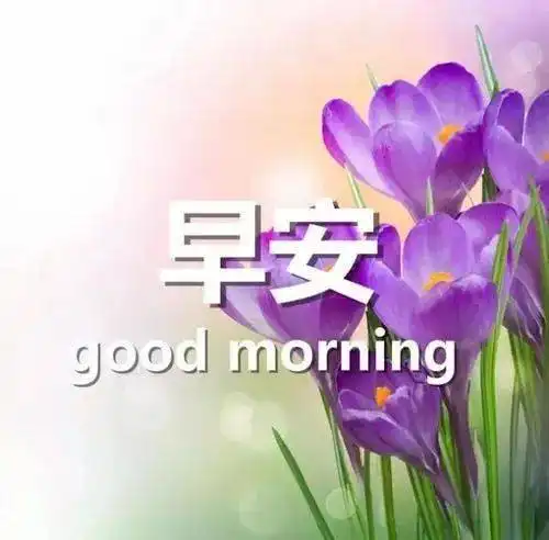 晨曲,早安
