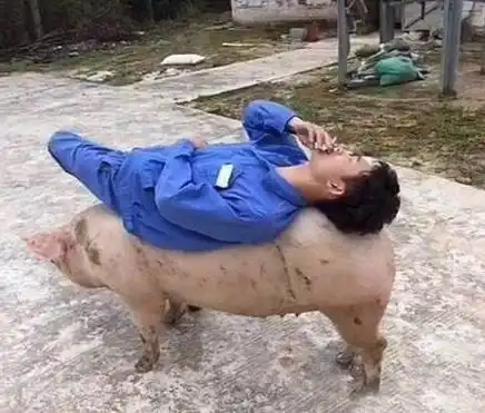 每日一笑为她花了那么多钱
