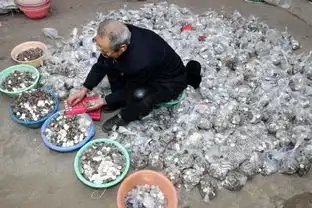 30万元硬币求兑走访多家银行后均未成功
