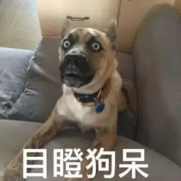 最搞笑还真是没有出息
