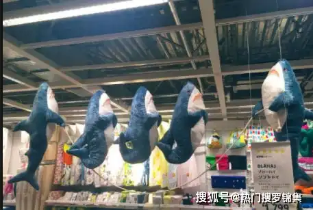 搞笑gif图拍出漂亮的艺术照不容易啊,大热天在太阳底下,都晒黑了
