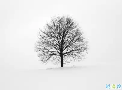 朋友圈下雪说说幽默带图片下雪天搞笑说说短语
