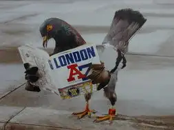 123
