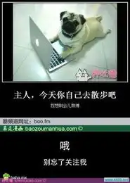 第435页zol趣图频道
