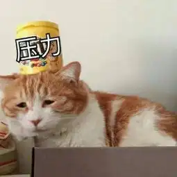 微信搞笑的包情包头像带文字的相遇太好却又离开太早
