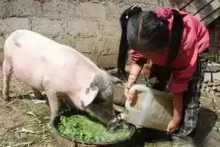 我是茶陵的农村娃这波回忆杀把我带回了童年看哭了...
