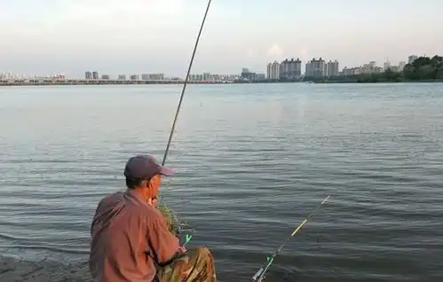 年过六十,守住这四个原则,晚年生活才会幸福快乐
