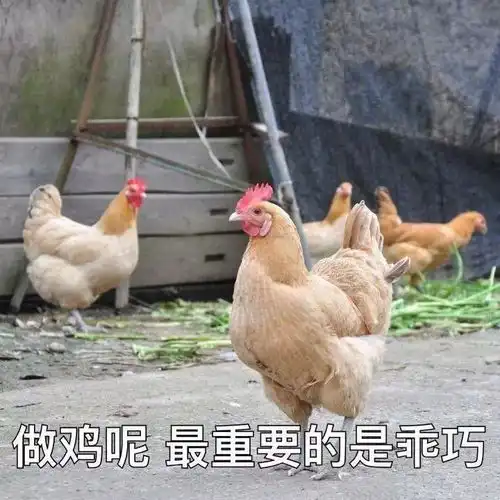 微信这波更新,情侣们注意了
