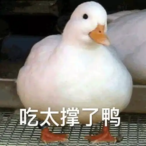 无鸭不欢沪上这十几家人气爆棚的烤鸭餐厅,比全聚德还好吃
