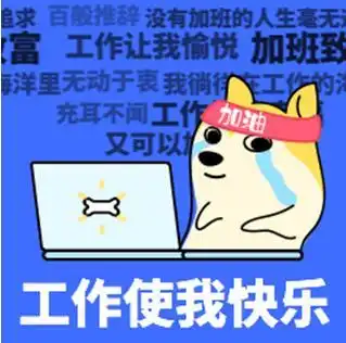 新疆高盛汽车
