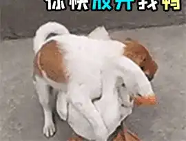 爆笑图文第一次去男票家吃饭,为求表扬亲自杀鱼却被他姐讽刺
