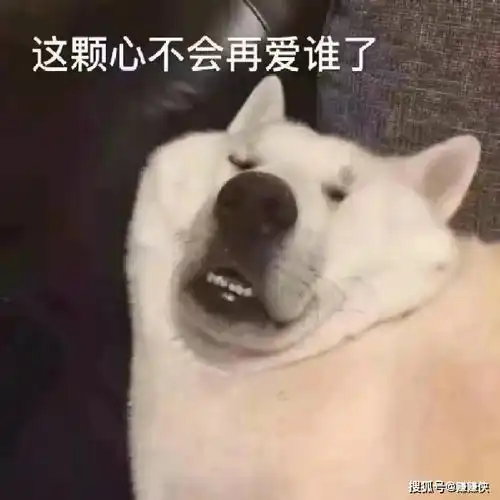 搞笑表情包图片今天早点睡,就这

