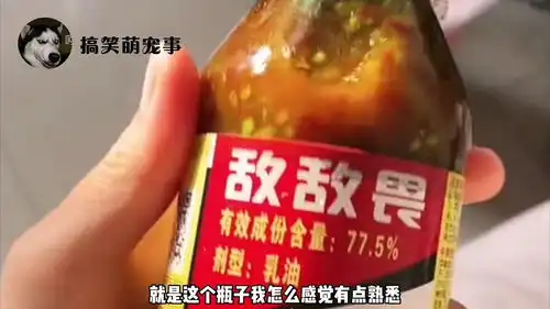 搞笑视频这辣酱可真有劲
