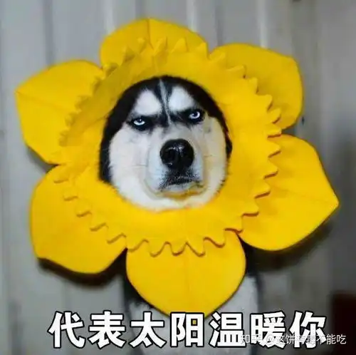 请问总复习的时候先背了课本上的东西再刷题,还是刷了题再背书,或者前辈有没有什么好的复习方法
