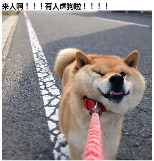 搞笑笑话,动图这是什么迷惑行为
