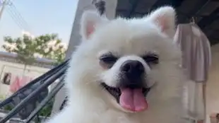 想不到吧,我还坐电车呢搞笑合集
