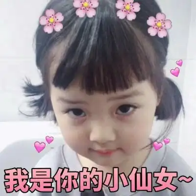 权律二表情包本仙女要去上学了
