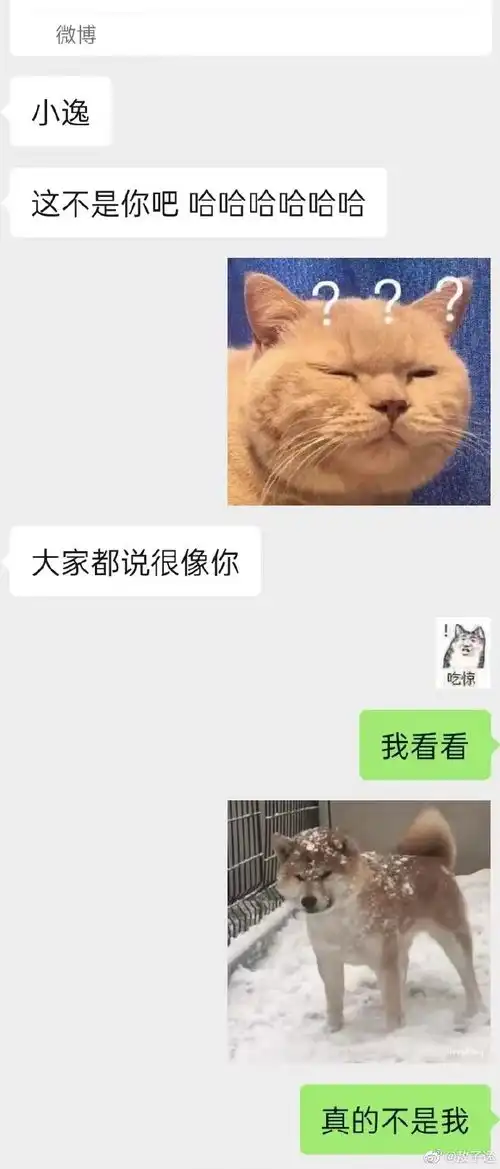 组图在线辟谣敖子逸晒与工作人员聊天截图搞笑称没掉泥坑
