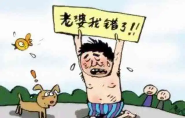 2000年的西双版纳南帕小寨更低度,森林覆率与州长电视台主持人照片
