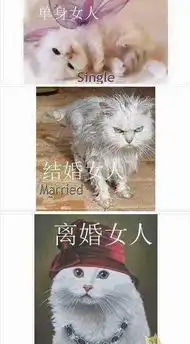 发几张照片让你笑一笑解解压
