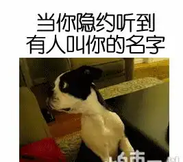 幽默搞笑段子集灵感来了,挡都挡不住,大概就是这样吧

