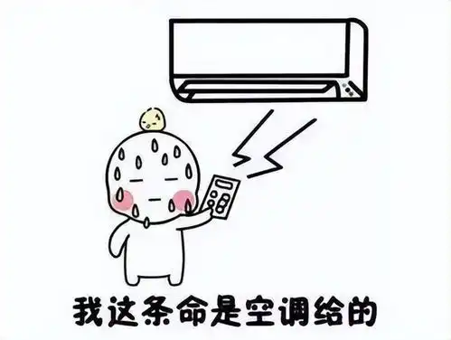 酸了这些大学空调全覆盖清爽夏日不是梦
