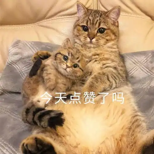 每日一乐这就是每天早上的我了
