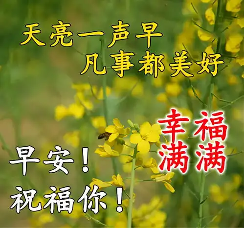 清晨问候祝福语动画表情动态图片早安最新暖心问候语句
