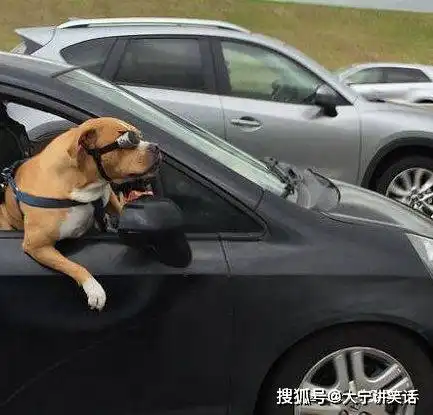 搞笑gif当你一觉醒来发现闹钟还没响.....
