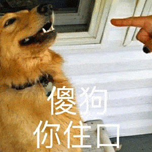 抖音热门沙雕表情包今天也是想你的一天
